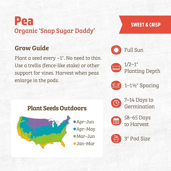 Back to The Roots 100% Organic Seed Packet - Pea 'Snap Sugar Daddy' 8.4g
