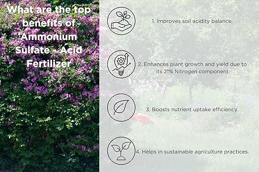 Old Cobblers Farm™ Wicked Growth Ammonium Sulfate - Fertilizer and Soil Acidifier for Azaleas, Blueberries and Magnolia. Boosts Nitrogen for Healthy Plants and Lush Lawns (5/10/15/20) (20 lbs)