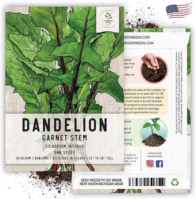 Seed Needs Garnet Stem Dandelion Seeds for Planting - Non-GMO, Heirloom & Untreated Edible Herbs - Grow Your own Food for Tortoises, Rabbits & Bearded Dragons (2 Packs)