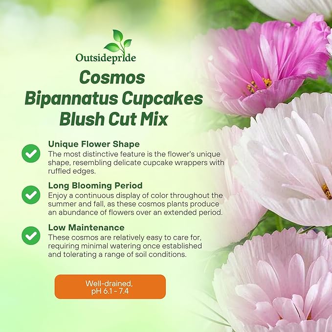 Outsidepride Cupcakes Blush Cosmos Bipinnatus Seeds - 100 Pcs Annual, Easy to Grow & Drought Tolerant Flower Seeds for Planting w/Finely Pleated Blooms, Ideal for Cut Flower & Wildflower Meadows