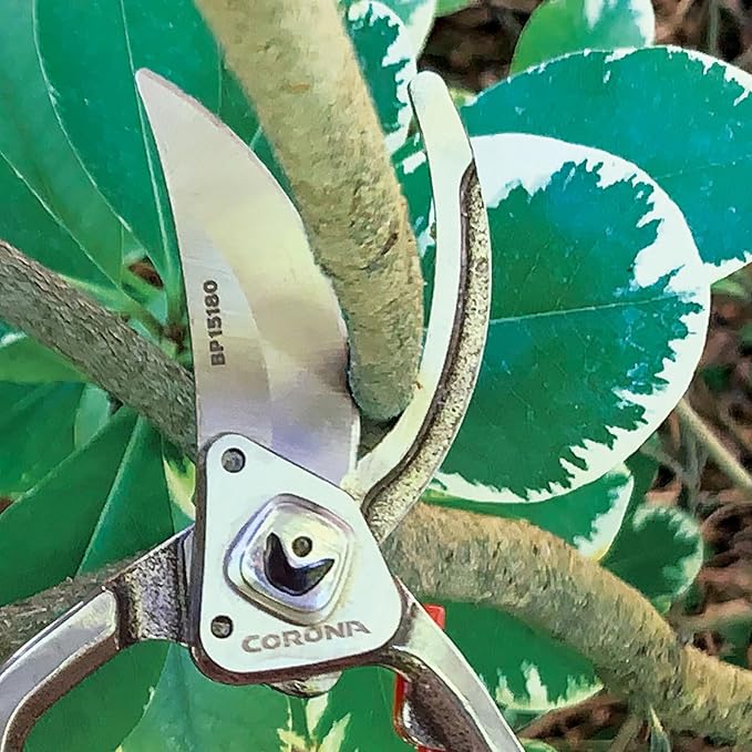 Corona Tools Forged Steel ClassicCUT Bypass Hand Pruner – 1-Inch Cut Capacity Garden Pruning Shears for Stems & Branches, Heavy-Duty Bypass Pruners for Tree, Shrub & Plant Trimming