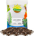 Soil Sunrise Lucky Bamboo Plant Potting Mix (4 Quarts) Custom Soil Mix for Repotting