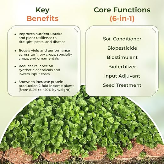 VERDANTÉ Complete Plant Care Liquid Soil Conditioner – Improve Lawn & Garden Health - Versatile Soil Conditioner for Lawns & Gardens - Simple Lawn and Garden Solutions - 2 Qt.