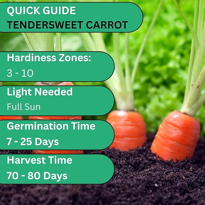 Woods Creek Seeds: Tendersweet Carrot Seeds for Planting - Over 2,900 Heirloom Carrot Seed Pack - Non-GMO Carrots Seeds for Planting Outdoors or Indoors - Beginner Friendly Vegetable Gardening
