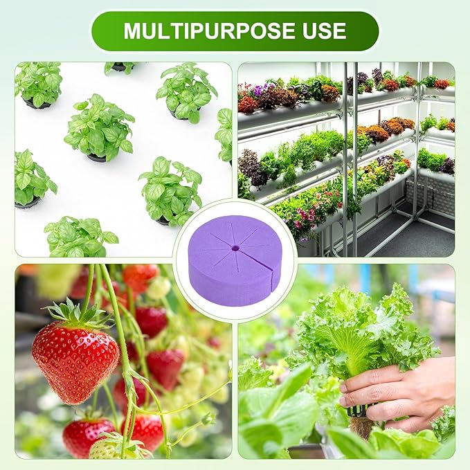 60-Pack Cloning Collars Inserts, Hydroponics Sponge Systems Cloning DIY Foam Cloner Inserts Fits 2" Net Pots for Hydroponic/DIY Cloner/Clone Machines/Plant Germination [Purple]