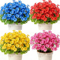 12 Oxalis Triangularis Flower Seeds for Planting, Oxalis Triangularis Bulb Flowers Seed, Non-GMO Heirloom Flower Seeds for Home Garden Outdoor