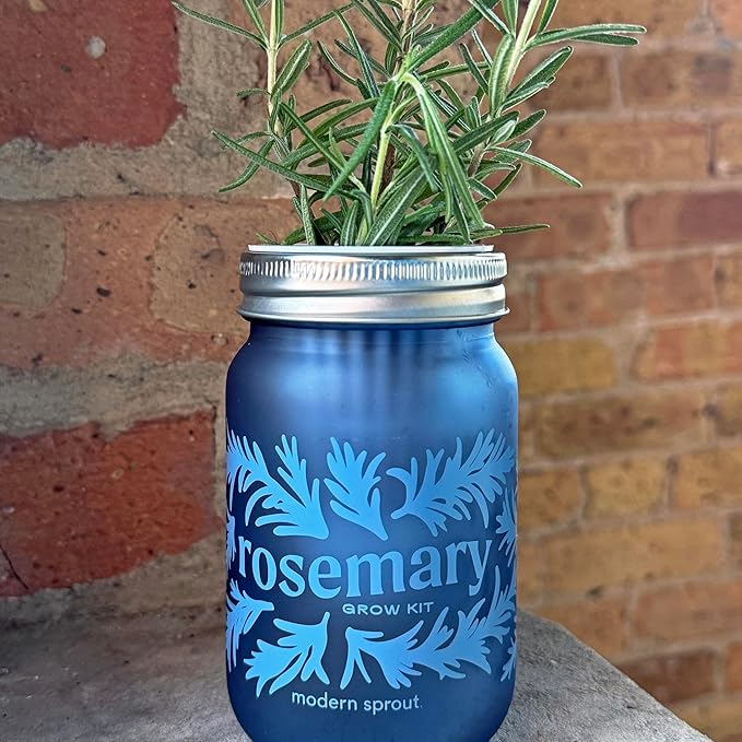 Modern Sprout Mason Garden Jar - Self-Watering Hydroponics Growing System Kit w/Organic Herb Seeds - Jar Planter for Indoor Herb Garden - Seed Starter Kit - Easter Gifting & Decor-Mint+Rosemary+Poppy