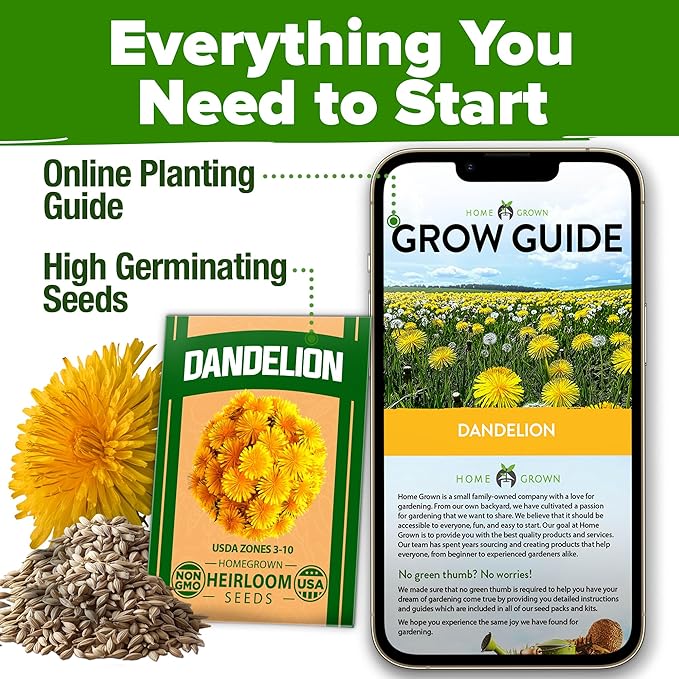 HOME GROWN Flower & Herb Seed Trio – 1,000+ 𝗡𝗢𝗡-𝗚𝗠𝗢 -𝗦𝗢𝗨𝗥𝗖𝗘𝗗 Seeds: White Lilac, Aubrieta Rock Cress & Dandelion – Heirloom 𝗨𝗦𝗔-Grown for Pollinators, Ground Cover & Medicinal Uses