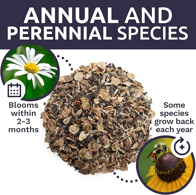 Drought Tolerant Wildflowers Mix – Extra Large Packet – Over 7,500 Open Pollinated Non-GMO Seeds – 21 Different Dryland Species