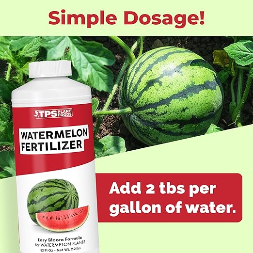 Watermelon Fertilizer – Liquid Plant Food for Bigger Melons, Vigorous Vines & Stronger Root Development, 32 oz