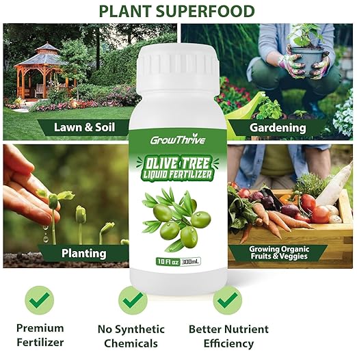 10oz Olive Tree Fertilizer & Nutrient Solution - Organic Microbial Probiotic Plant Food for Green Foliage, Root Growth & Fruit Production