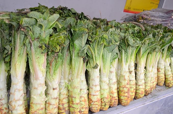 Seeds Vegetable Asparagus Lettuce Leaf Heirloom for Salads - 1000 Seeds