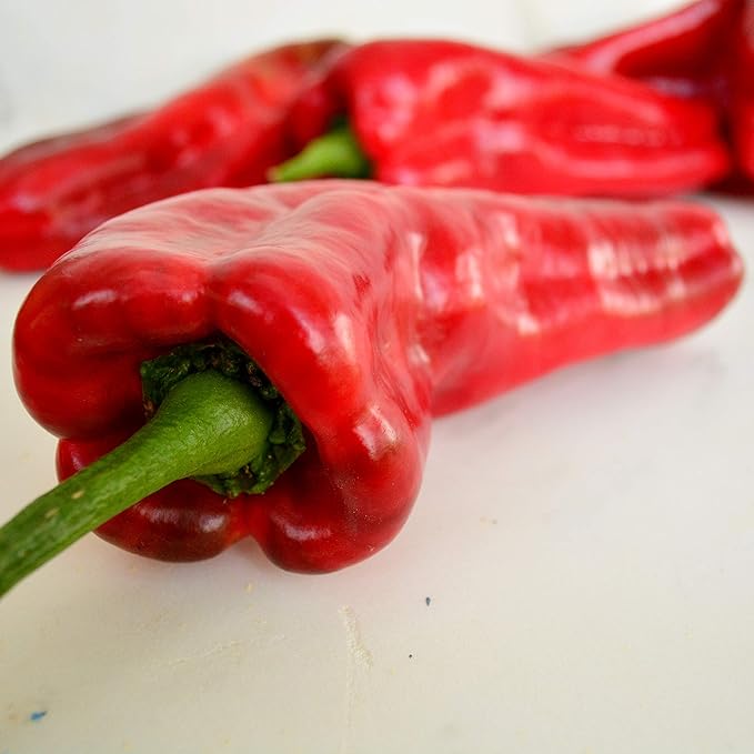 Marconi Red Pepper - 25 Seeds - Giant Sweet Italian Pepper, Heirloom Pepper Variety, USA-Grown, Non-GMO Sweet Italian Pepper Seeds for Planting Outdoors in The Home Garden, Thresh Seed Company