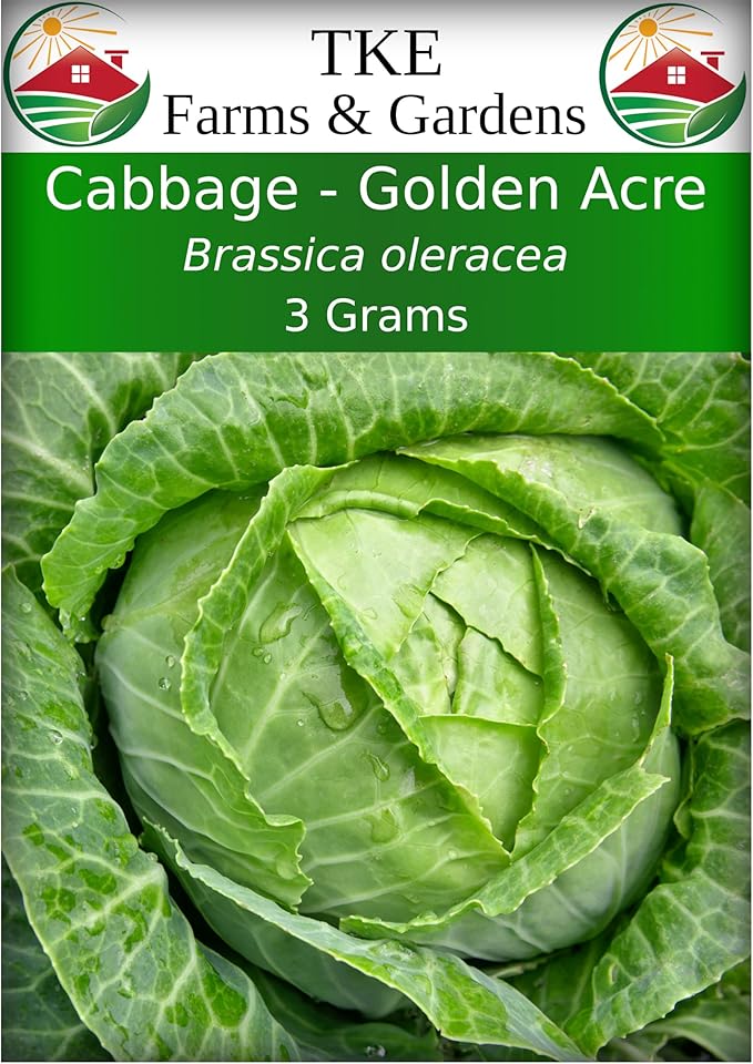 TKE Farms & Gardens - Cabbage Seeds for Planting, Golden Acre, 3 Grams, 700 Heirloom Seeds, Non-GMO, Packet Includes Instructions for Growing, Brassica oleracea, Qty 1