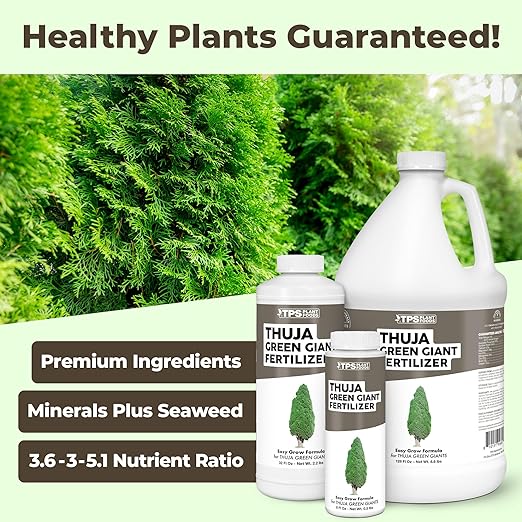 Thuja Green Giant Fertilizer – Liquid Plant Food for Faster Growth, Fuller Green Foliage & Stronger Roots, 8 oz