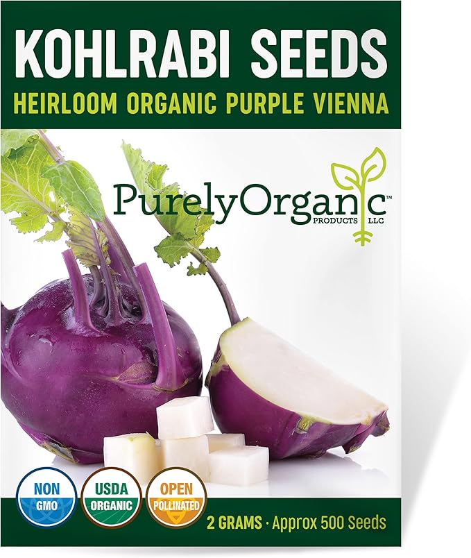 Organic Kohlrabi Seeds (Purple Vienna) - Approx 500 Seeds - USDA Organic, Non-GMO, Open Pollinated, Heirloom