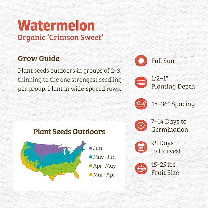 Back to The Roots 100% Organic Heirloom Seeds - Large Watermelon Fruit Value Pack (3.4g Total)