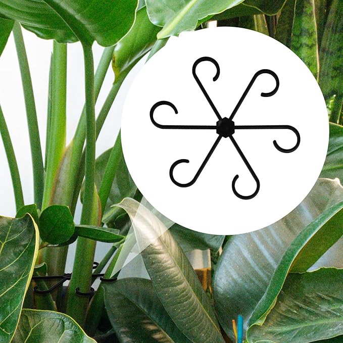 4pcs Plant Stem Supports, Plastic Houseplant Climbing Holders Stabilizer Reusable Small Climbers Flower Plant Stakes Trellis Stem Hook Growth Accessories for Indoor Monstera (Black)