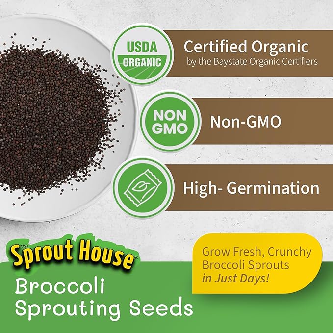 The Sprout House Broccoli Sprouting and Microgreen Seeds - Premium Organic Broccoli Sprouts, Non-GMO, High-Germination, Easy to Grow, Resealable Bag, Sulforaphane Rich Superfood,16oz