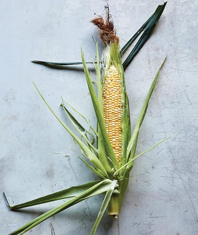 Burpee Sweetness Sweet Corn Seeds 200 seeds