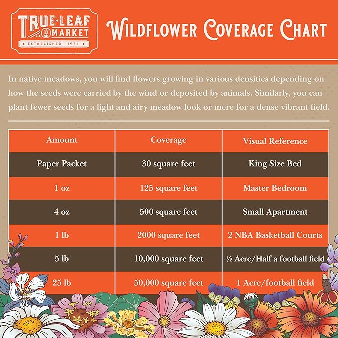 All Annual Wildflower Mix Seed for Planting - 1 Lb ~16,000+ Seeds - 21 Varieties Including California Poppy, Indian Blanket, Scarlet Flax, & More - Attracts Pollinators - Bulk Wildflower Seeds
