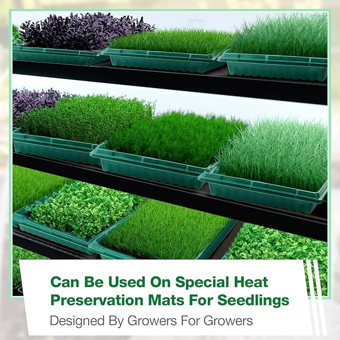Romooa 20 Pcs Seed Starter Kit 72 Cell Seedling Starting Trays and 1020 Trays No Holes Plant Growing Nursery Pots for Gardening Germination Propagation (Green)