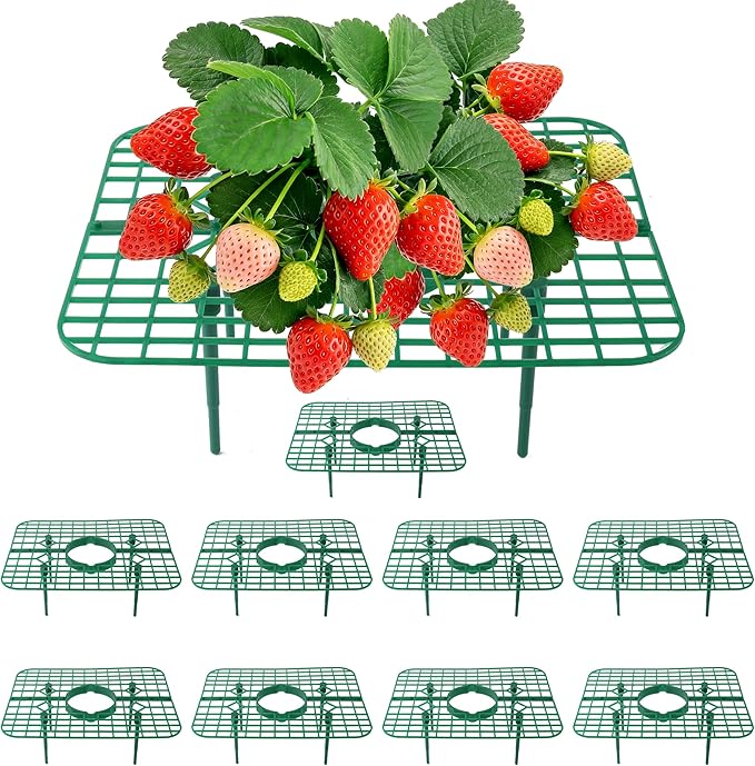 Strawberry Plant Supports, 10 Pack Square Frames Keep Strawberries Off Ground, Garden Holders for Cleaner Strawberry Fruit & Easier Harvest