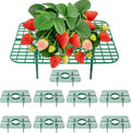 Strawberry Plant Supports, 10 Pack Square Frames Keep Strawberries Off Ground, Garden Holders for Cleaner Strawberry Fruit & Easier Harvest