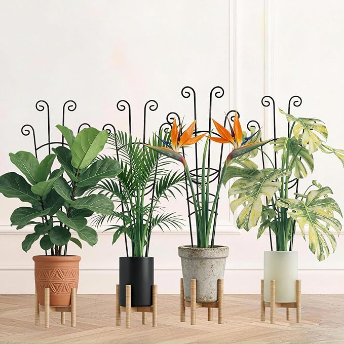 Garvee 6 Pack 30'' Plant Trellis for Climbing Plants Indoor, Plant Climber Support Indoor Outdoor, Rust-Resistant Sturdy Metal Trellis for Potted Plants Ivy Pothos Monstera Hoya Flower Vine