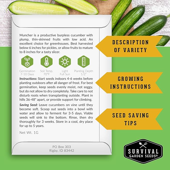 Muncher Cucumber Seeds for Planting | Burpless Variety with Smooth Skin for Snacking or Slicing – Survival Garden Seeds (5 Packs)
