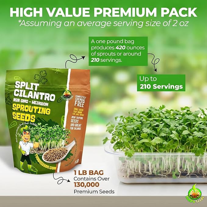 Todd's Seeds Coriander (Split Seed Cilantro) Slo-Bolting Herb Seed, Non-GMO, Chemical Free, High Germination (One Pound)