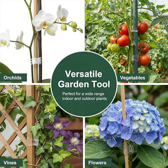 50pcs Orchid Clips for Plants Support, Transparent Plant Orchid Clips 6 Claws for Indoor and Outdoor Plants Plastic Butterfly Plant Support Structures for Garden Vine Stem