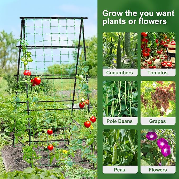 Lalahoni Garden Trellis for Climbing Plants Outdoor, 31.5x70.8 inch Metal A-Frame Cucumber Trellis Raised Bed, Climbing Plant Support Vine Fruit Flower Vegetable Tomato Peas Bean Trellis, with Netting