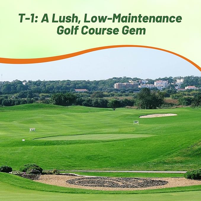 Outsidepride T-1 Creeping Bentgrass Seed - 2 lbs Fine-Bladed, Premium Quality Turf, Grass Seed for Smooth Surface, & High-Traffic Areas, Ideal Grass for Golf Courses Putting Greens, & Fairways
