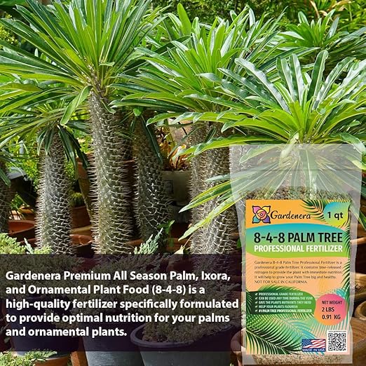 Premium 8-4-8 Professional Palm Tree Fertilizer Plant Food |Indoor Potted Plants and Outdoor Landscape Palm Trees | Quick-Release Nitrogen Fertilizer and Continuous Feeding (3 Quarts)