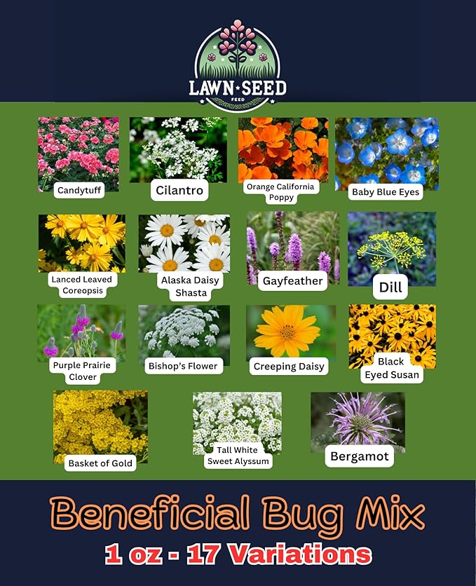 Beneficial Bug Wildflower Mix (1oz) Sprinkle a Little Magic—Our Shade, Perennial, Hummingbird, Deer-Resistant, and Other mixes Bring Vibrant Color and pollinator Joy to Any Space.