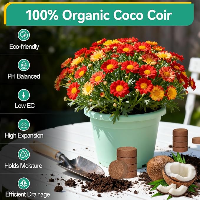 ZeeDix 50Pcs Organic Coco Coir Pellets for Seed Starter, Compressed Coconut Coir Potting Soil for Planting, Garden Soil for Indoor Outdoor Plants Bonsai Herbs Flowers Vegetables (30mm)