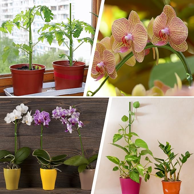 20Pcs Plant Stakes,Plant Sticks,Garden Green Bendable Single Stem Plant Support Stakes for Indoor and Outdoor Plants,Potted Plants,Flowers Orchid Peony Rose-18 Inches