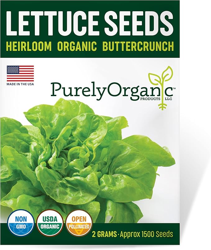 Organic Lettuce Seeds (Heirloom Buttercrunch) - Approx 1500 Seeds - Certified Organic, Non-GMO, Open Pollinated, Heirloom, USA Origin