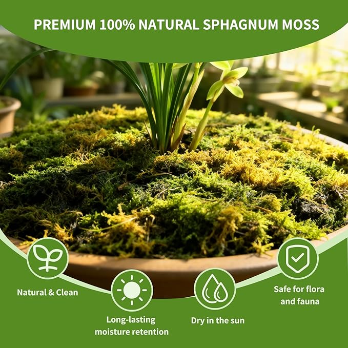 Compressed Sphagnum Moss for Plants & Reptiles (2pc)– Dried Peat Moss, Moisture-Retentive for Indoor Plants, Orchids, Terrariums, Reptile Bedding (100% Natural, Reptile-Safe
