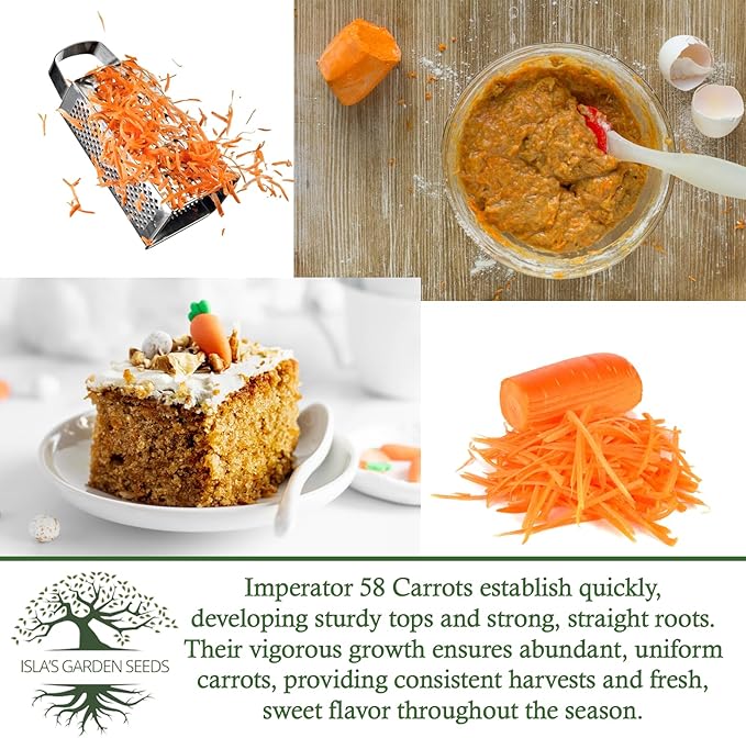 Imperator 58 Carrot Seeds (Daucus carota) – 500+ Non-GMO & Heirloom Seeds, Long and Sweet Carrots for Juicing, Fresh Eating, and Cooking, by Isla’s Garden Seeds, Great Gardening Gift