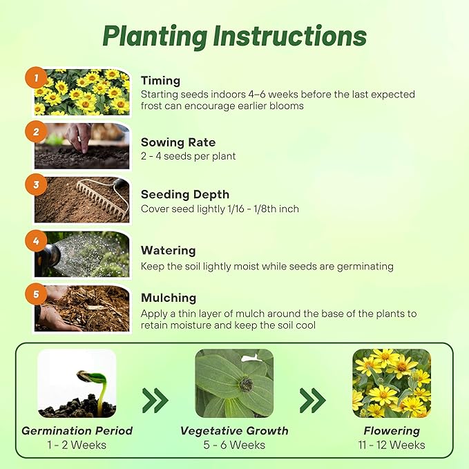 Outsidepride Profusion Yellow Zinnia Seeds - 25 Pcs Annual Flower Seeds, Easy to Grow, Drought-Tolerant, Hardy & Deer-Resistant, Ideal for Cut Flowers, Butterfly Gardens & Landscape Border