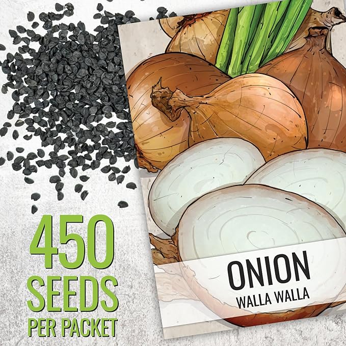 Seed Needs Onion Seeds for Planting Walla Walla Long Day Onions - Non-GMO Heirloom & Untreated Vegetable Seeds to Plant an Outdoor Home Grown Veggie Garden (1 Pack)