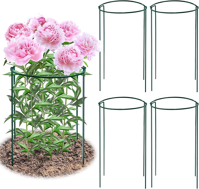 8 Pack Peony Support Cages, 10" W x 16" H Half Round Peony Plant Supports, Heavy Duty Metal Plant Support Stakes, Green Garden Plant Support Rings for Peony, Hydrangea, Roses & Flowers