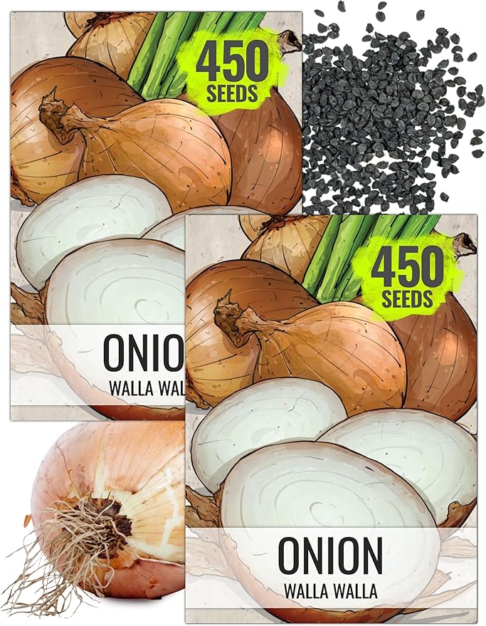 Seed Needs Onion Seeds for Planting Walla Walla Long Day Onions - Non-GMO Heirloom & Untreated Vegetable Seeds to Plant an Outdoor Home Grown Veggie Garden (2 Packs)