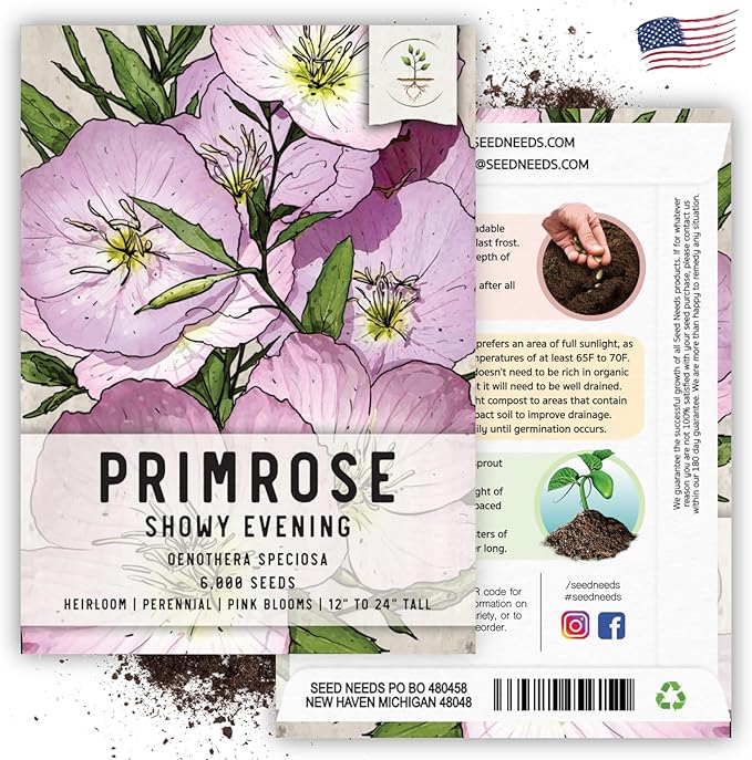 Seed Needs Showy Evening Primrose Seeds for Planting - Heirloom & Open Pollinated Perennial Flower Seed to Plant a Butterfly Garden (1 Pack)