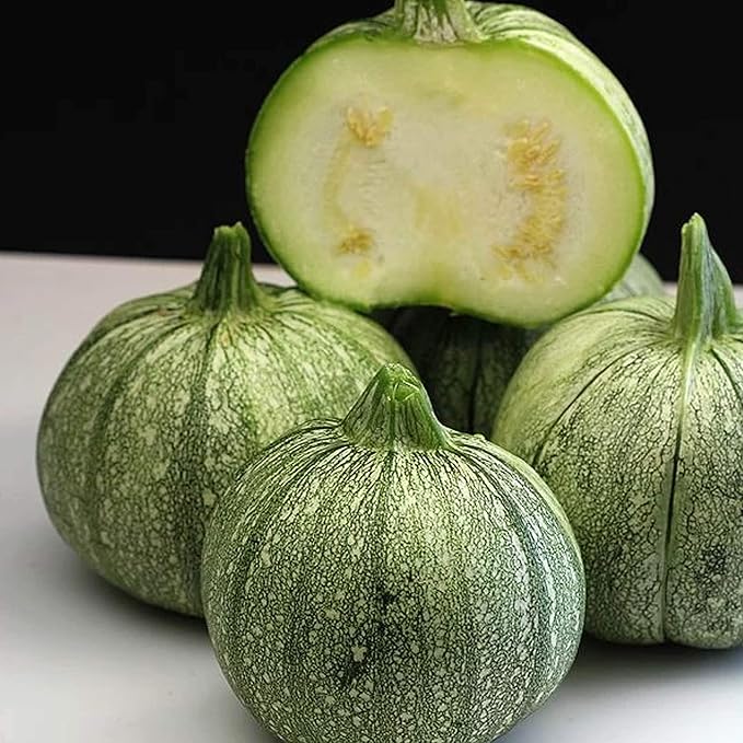Organic Ronde De Nice Squash - 1 OZ ~170 Seeds - Organic, Heirloom, Open Pollinated, Non-GMO, Farm & Vegetable Gardening Seeds - Summer Squash
