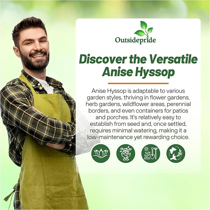 Outsidepride Purple Anise Hyssop Seeds for Planting - 5000 Pcs Perennial Herb Garden Seeds with Fragrant Blooms Attractive to Pollinators, for Small Gardens, Containers, & Xeriscaping