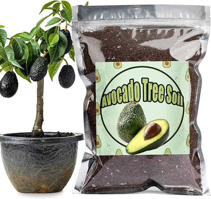 Organic Avocado Tree Potting Soil Mix 4qt, Enhance Growth and Transplant Success for Avocado Plants
