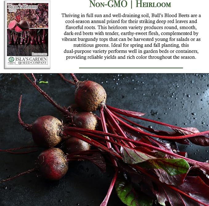 Bull’s Blood Beet Seeds (Beta vulgaris) – 100+ Heirloom Non-GMO Seeds by Isla’s Garden Seeds, Deep Red Roots & Burgundy Greens, Cool-Season Favorite, Dual-Purpose Variety, Great Home Garden Gift